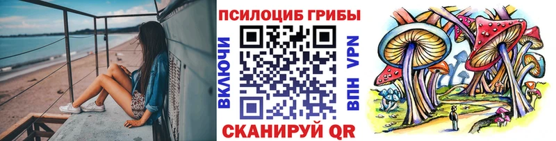 Псилоцибиновые грибы Cubensis  наркошоп  hydra вход  Иваново 